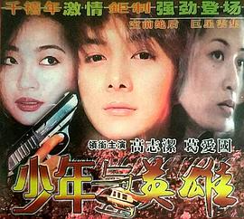 少年与英雄全集