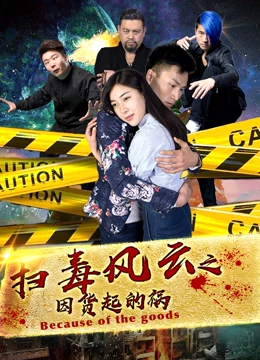 扫毒风云之因货起的祸全集