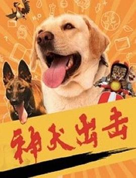 神犬出击全集
