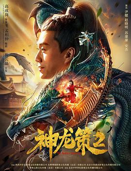 神龙策2全集