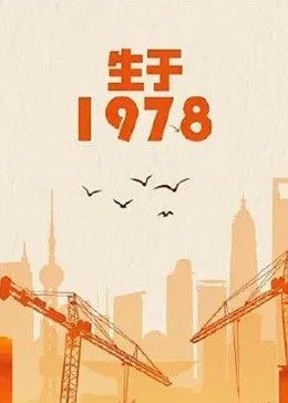 生于1978全集