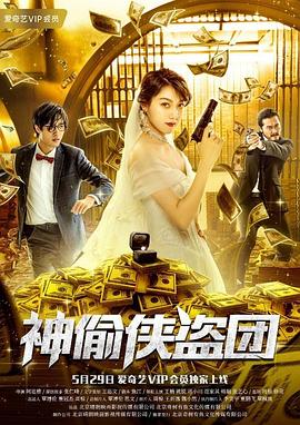 神偷侠盗团全集