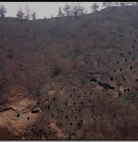 狩猎场·寄死窑全集