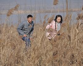 天鹅城之恋全集