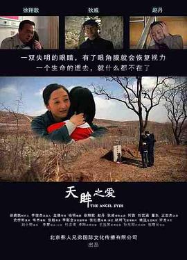 天眸之爱全集
