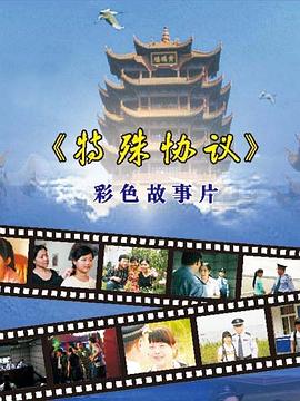 特殊协议全集