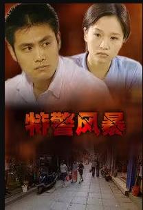 特警风暴全集