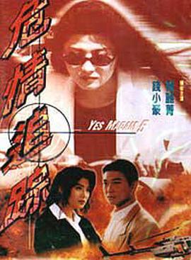 危情追踪全集