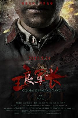 王良军长全集