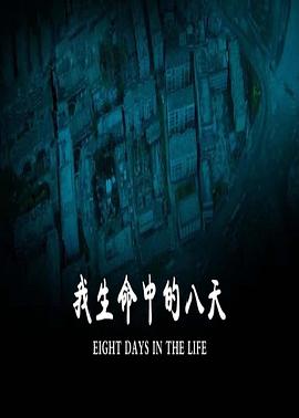 我生命中的八天全集