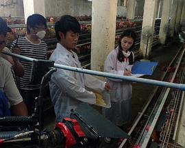 我和教授“羊粪豆”全集