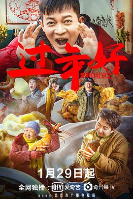 我来自北京之过年好全集