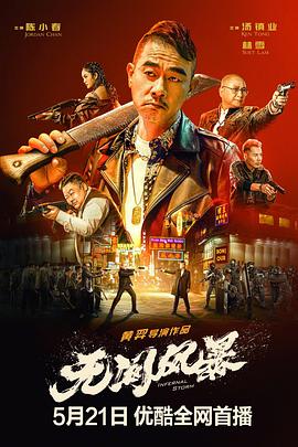 无间风暴全集