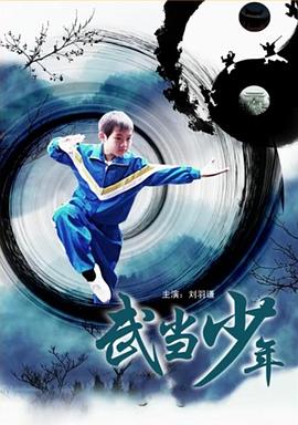 武当少年全集