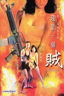 我是一个贼全集