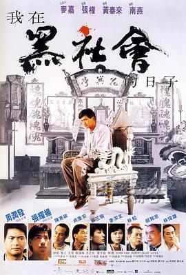 我在黑社会的日子全集