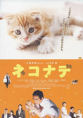 小猫奇缘全集