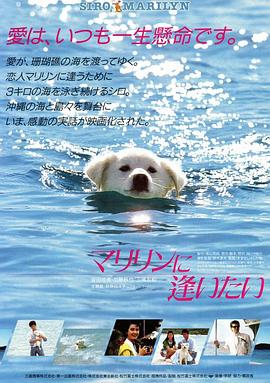 想见玛丽琳全集