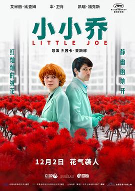 小小乔全集