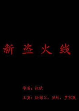 新盗火线全集