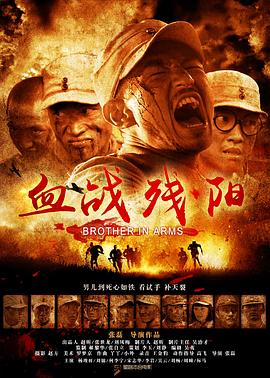 血战残阳全集