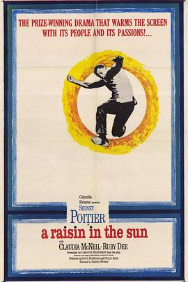 阳光下的葡萄干全集