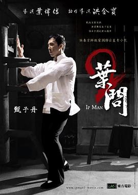 叶问2：宗师传奇全集