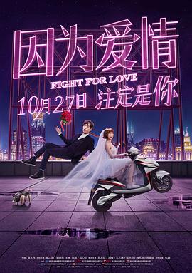 因为爱情全集