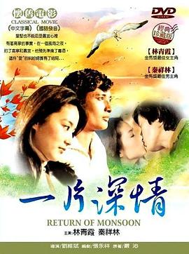 一片深情全集