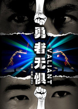 勇者无惧2009全集