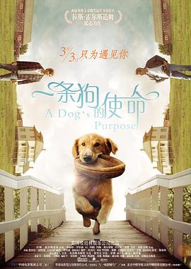 一条狗的使命全集