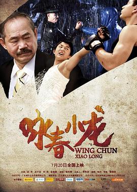 咏春小龙全集