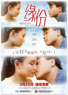 缘份全集