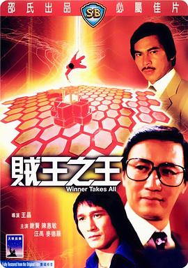 贼王之王全集