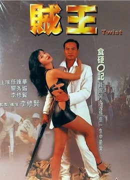 贼王 1995全集