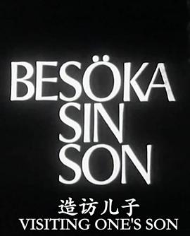 造访儿子全集