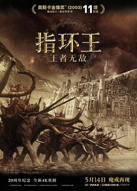 指环王3：王者无敌全集