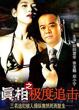 真相之极度追击全集