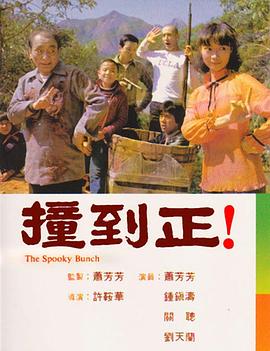 撞到正全集