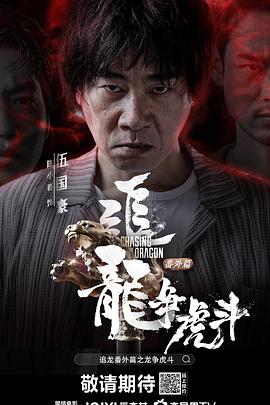 追龙番外篇之龙争虎斗全集