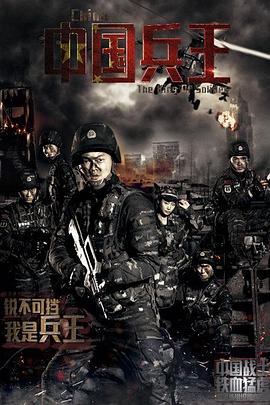 中国兵王全集