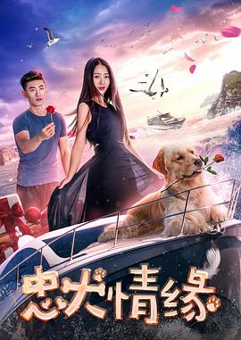 忠犬情缘全集