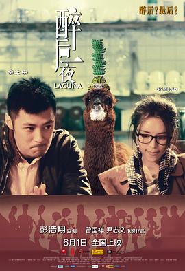 醉后一夜全集