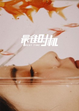 最佳时机全集
