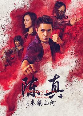 陈真之拳镇山河全集
