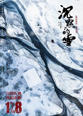 沉默的雪全集