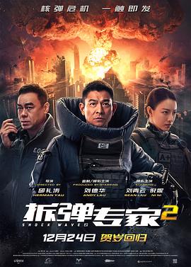 拆弹专家2全集