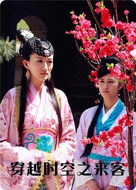 穿越时空之来客全集