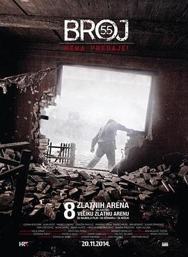 代号55全集