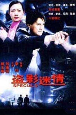 盗影谜情全集